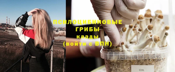 винт Верхний Тагил
